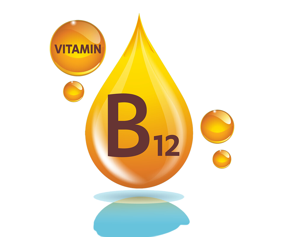 B12 Vitamini